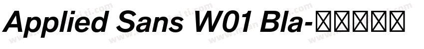 Applied Sans W01 Bla字体转换